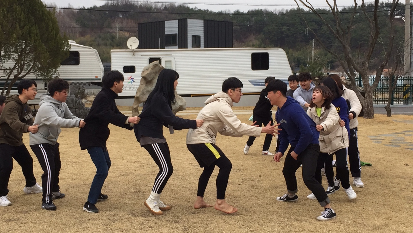 전체 MT